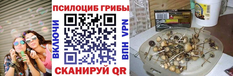 Галлюциногенные грибы Magic Shrooms  цена наркотик  Котельнич 